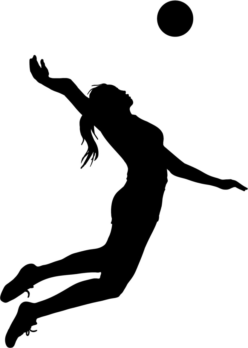 HIGH SCHOOL VOLLEYBALL Final Regular Season Standings League Tourney